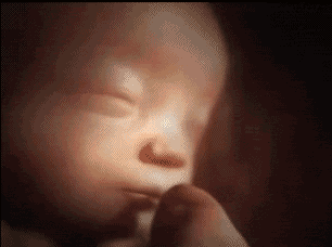 图片 2.png 图片 2.png