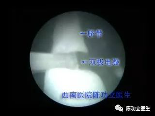 图片 5.png 图片 5.png