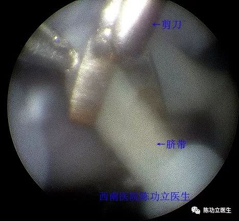 图片 6.png 图片 6.png